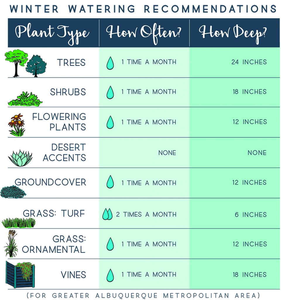 Watering January 2019 505 Outside