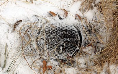 WATER RATES: The Basics and Why You Should Pay Attention to Your Winter Water Bill