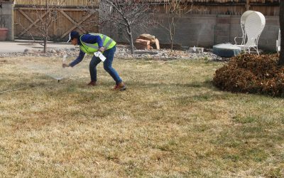 Spring Irrigation Startup