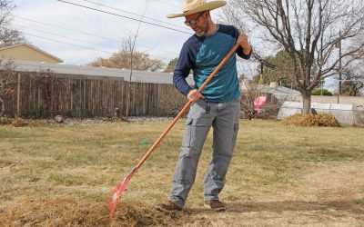 Spring Landscape Cleanup