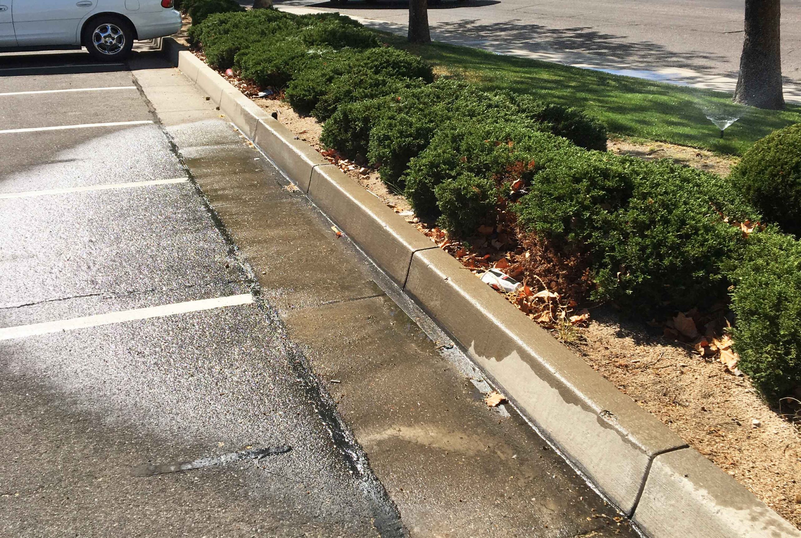 Changes to the Water Waste Reduction Ordinance