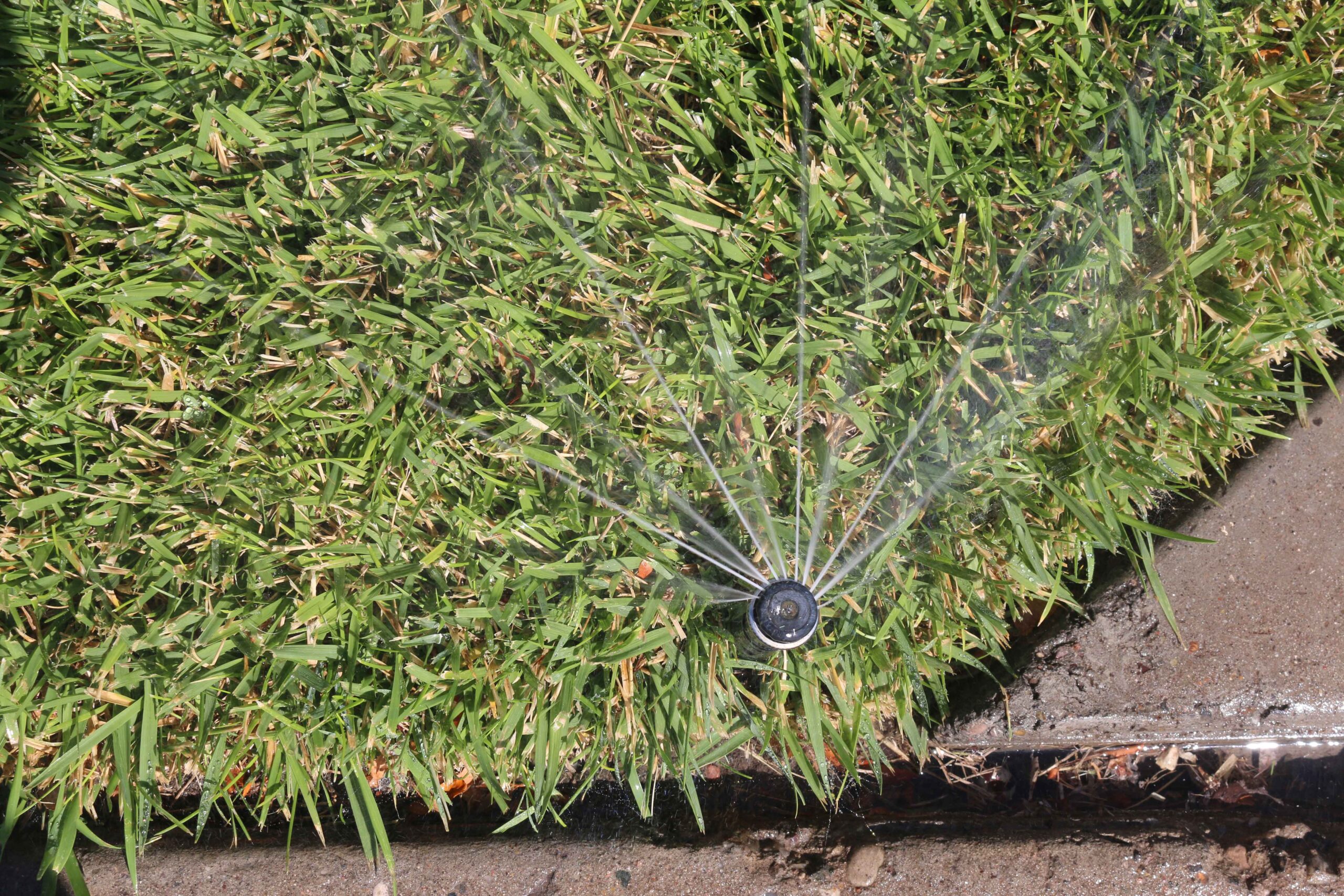 Rotatory-grass-sm