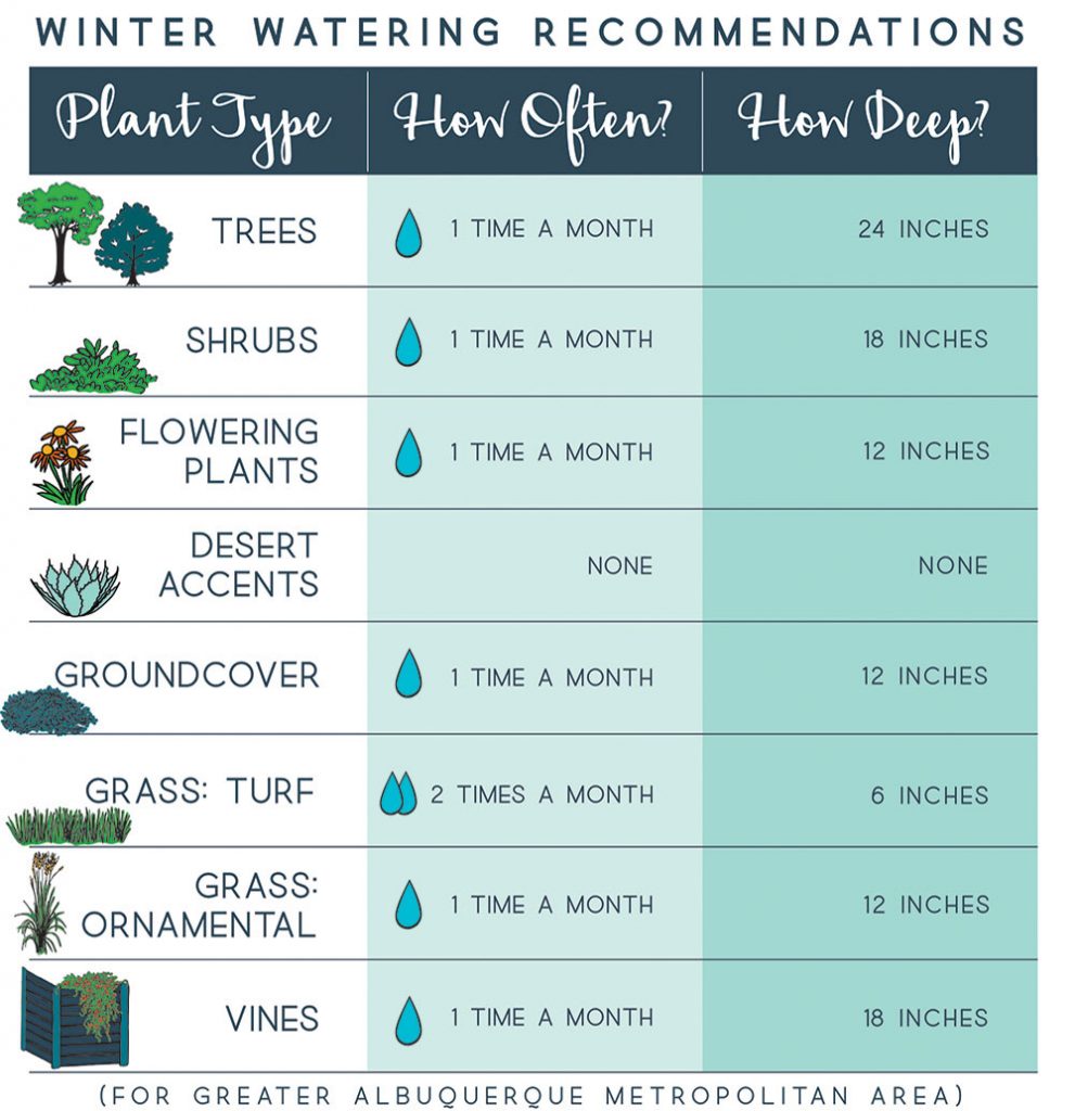 WINTER WATERING RECOMMENDATIONS