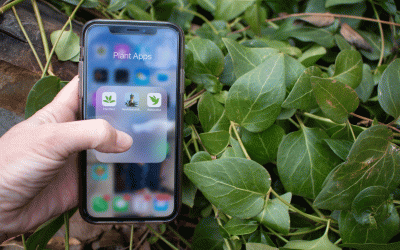 Have trouble identifying plants? We’ve got an app for that.