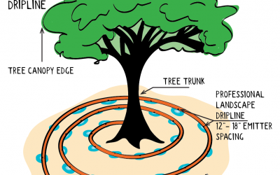How to make a Tree Watering System for your established and mature trees