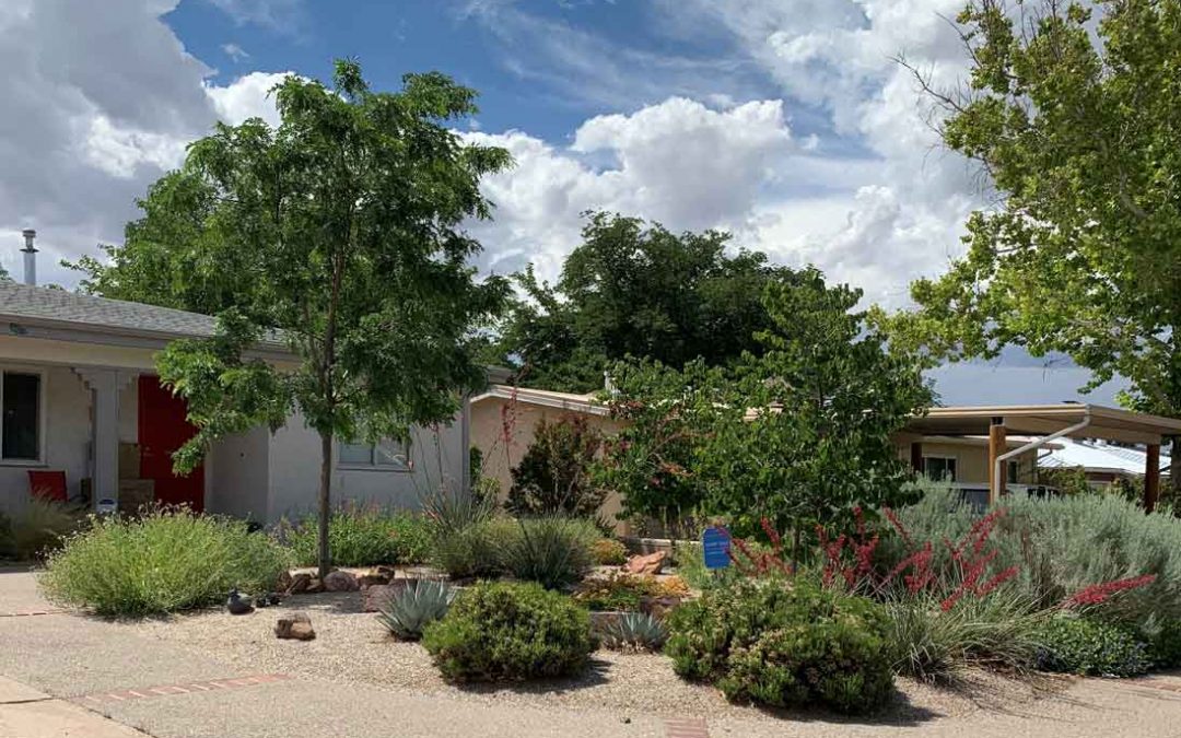 Xeriscape not Zeroscape: Water-conscious landscaping can be luscious and beautiful.