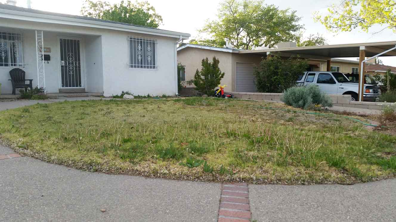Newman-Before-sm1 Before Xeriscape