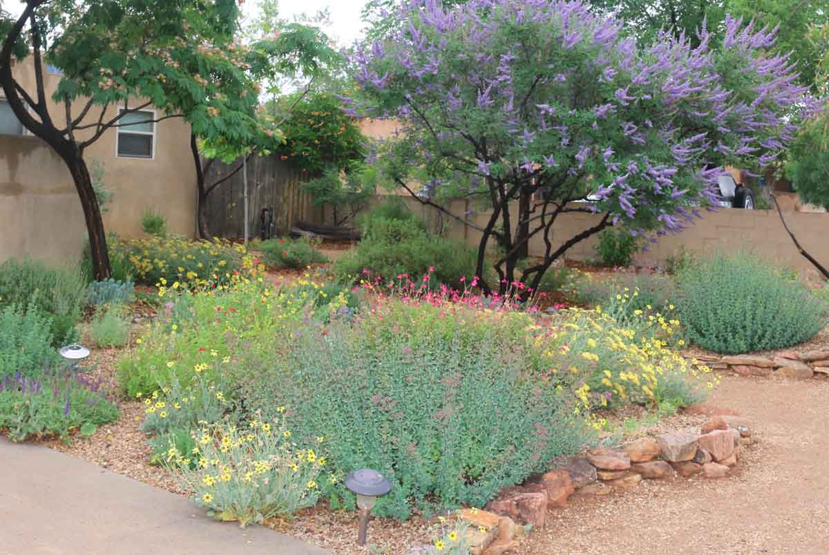 Xeriscape Conversion