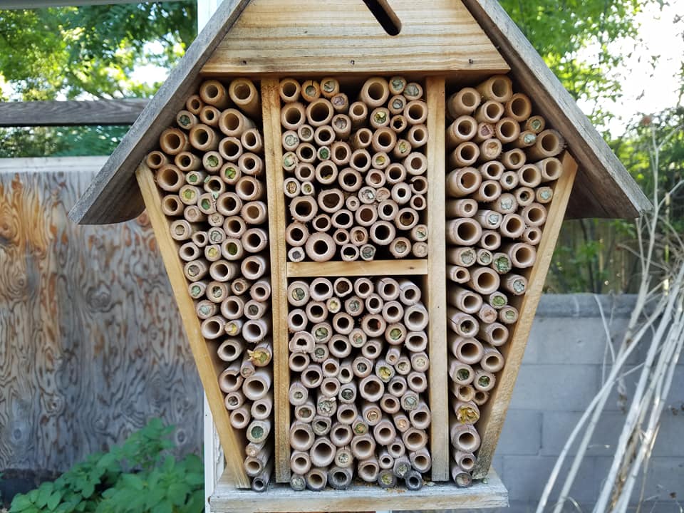 bee house new mexico