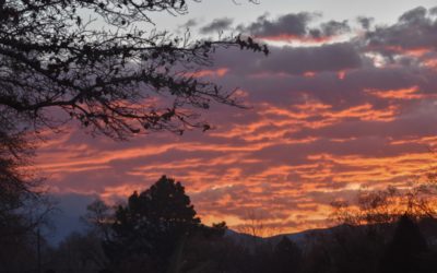 Drought Advisory and the 2020 Regional Annual Weather Summary