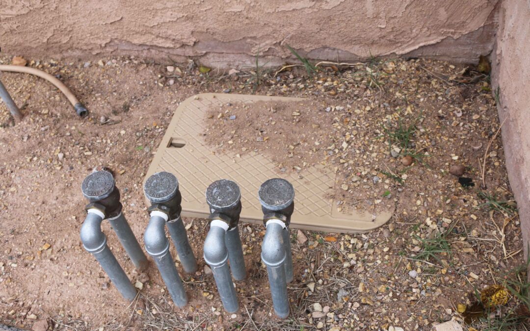 Steps for Improving Your Irrigation Efficiency