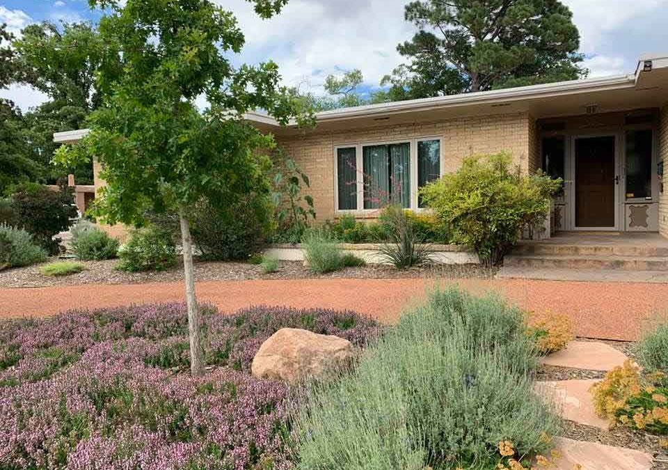 Make getting a Xeriscape rebate your New Year’s resolution!