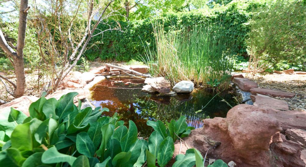 Desert friendly xeriscape winner