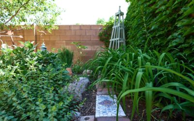 Be inspired by this year’s Desert Friendly Landscape Winners!
