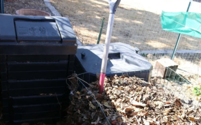 Backyard Composting Basics