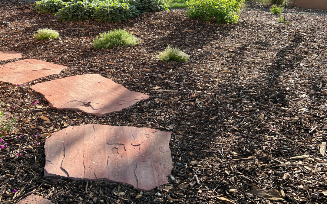 Xeriscape Conversions That Use Shredded Wood Chip Mulch
