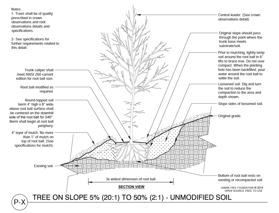 Efficiently Watering on a Slope Requires a Few Simple Steps for Your