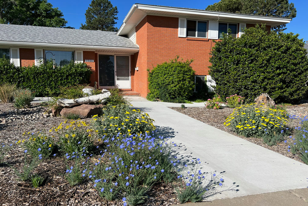 DIY Xeriscape Conversions that Use Wood Chip Mulch