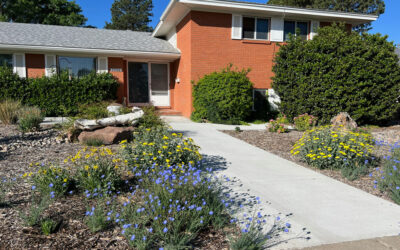 DIY Xeriscape Conversions that Use Wood Chip Mulch
