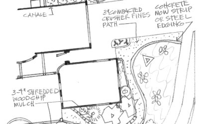 Loungescape: A Strikingly Beautiful and Low Maintenance Yard