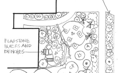 Kaleidoscape: Vivid Blooms Create a Rainbow of Color