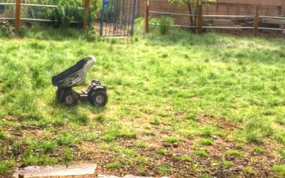 Why We Hate to Love the Bermuda Lawn