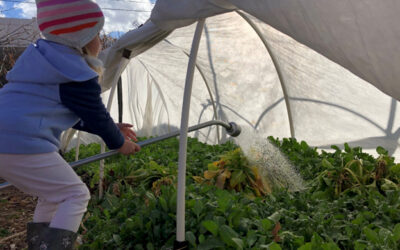 Prep Now for a Great Edible Winter Garden