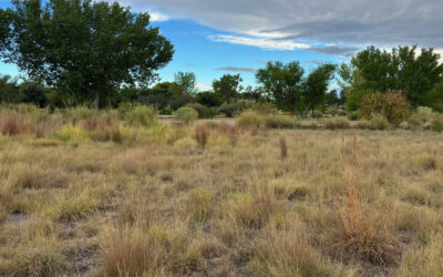 Great Natural Areas to Visit This Fall for Respite and Inspiration