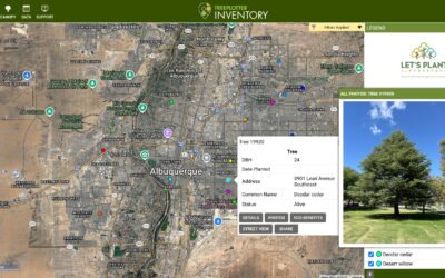 Celebrating Albuquerque’s Champion Trees