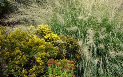 November To Do List: