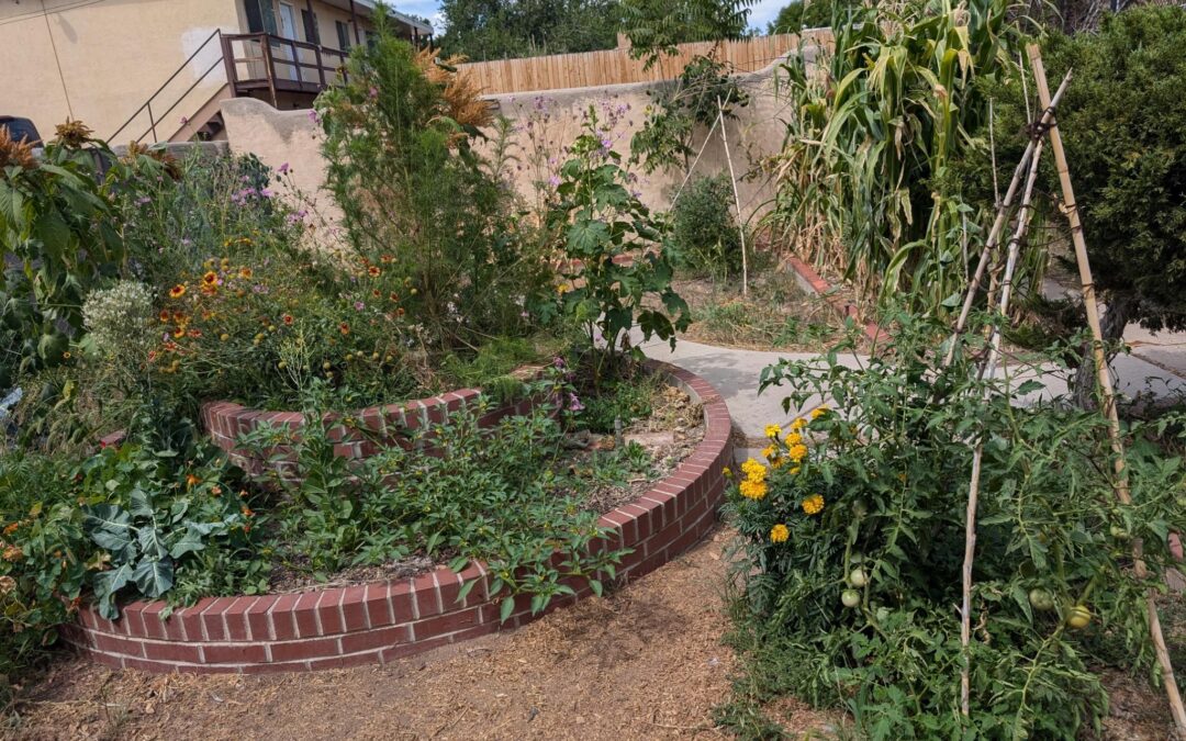 Regenerative Vegetable Gardening in the Southwest