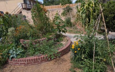Regenerative Vegetable Gardening in the Southwest