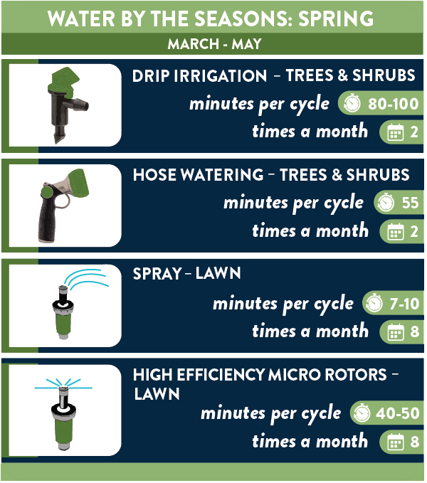 card template spring wide Spring Watering Recommendations