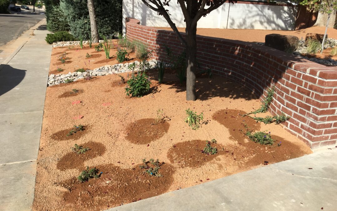 Walk the Line: A mid-summer check of your irrigation system