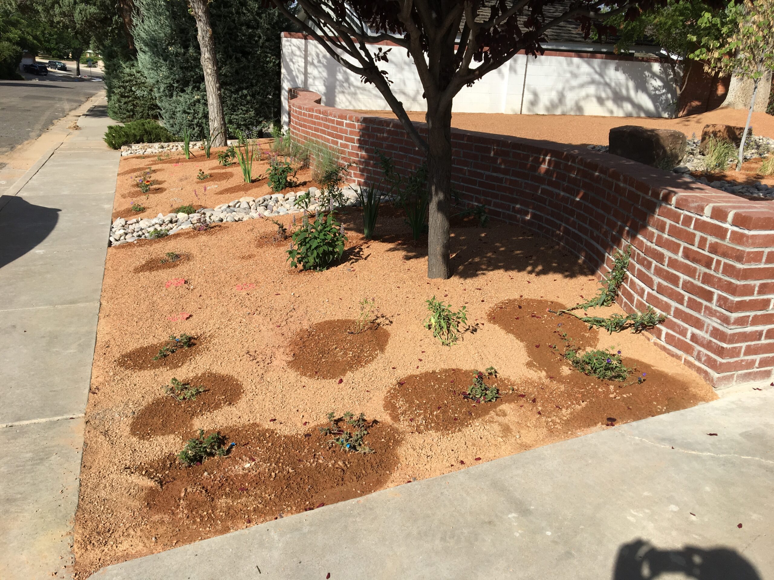 Walk the Line: A mid-summer check of your irrigation system