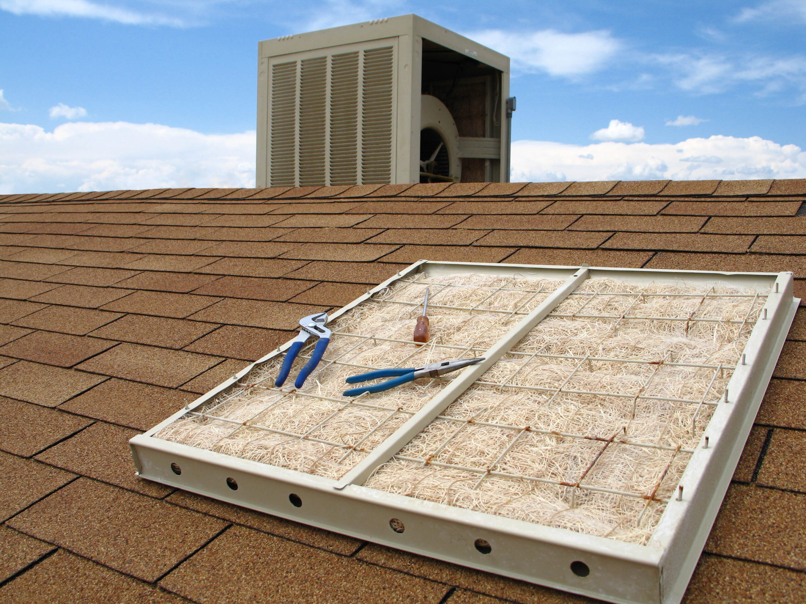 Keeping Cool This Summer While Saving Water
